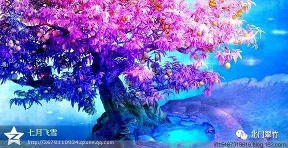 爱吃叶子的毛毛虫